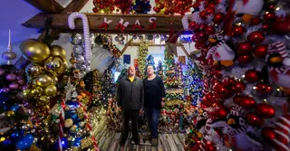 ৬২১টি ক্রিসমাস ট্রি দিয়ে বাড়ি সাজিয়ে বিশ্বরেকর্ড জেরোমিন পরিবারের